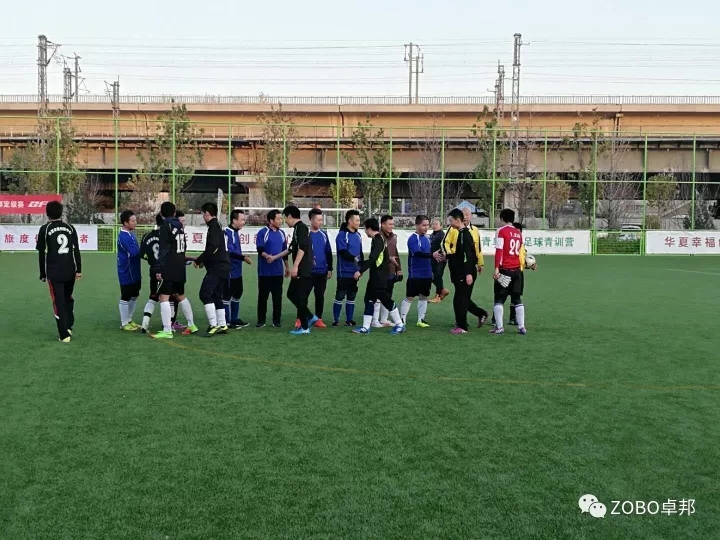 ZOBO草莓污视频下载