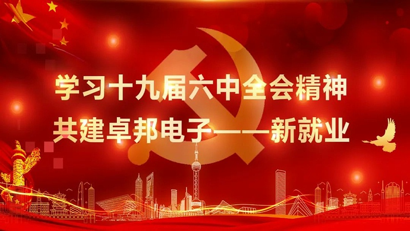ZOBO草莓污视频下载党支部丨开展“学习贯彻党的十九届六中全会精神”主题党日活动
