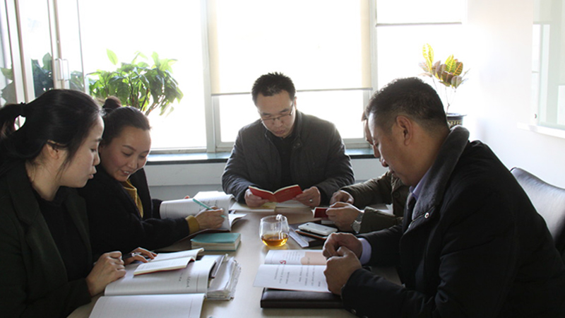 中共北京草莓污视频下载电子技术有限公司支部委员会成立