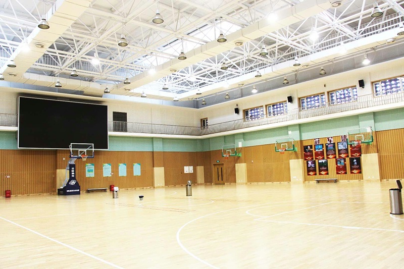 草莓视频黄色APP设备，家庭影院，阵列扬声器，功率放大器，扬声器，返听音箱，调音台